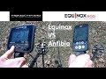 Minelab Equinox 800 vs Nokta Anfibio Multi with Live Digs!