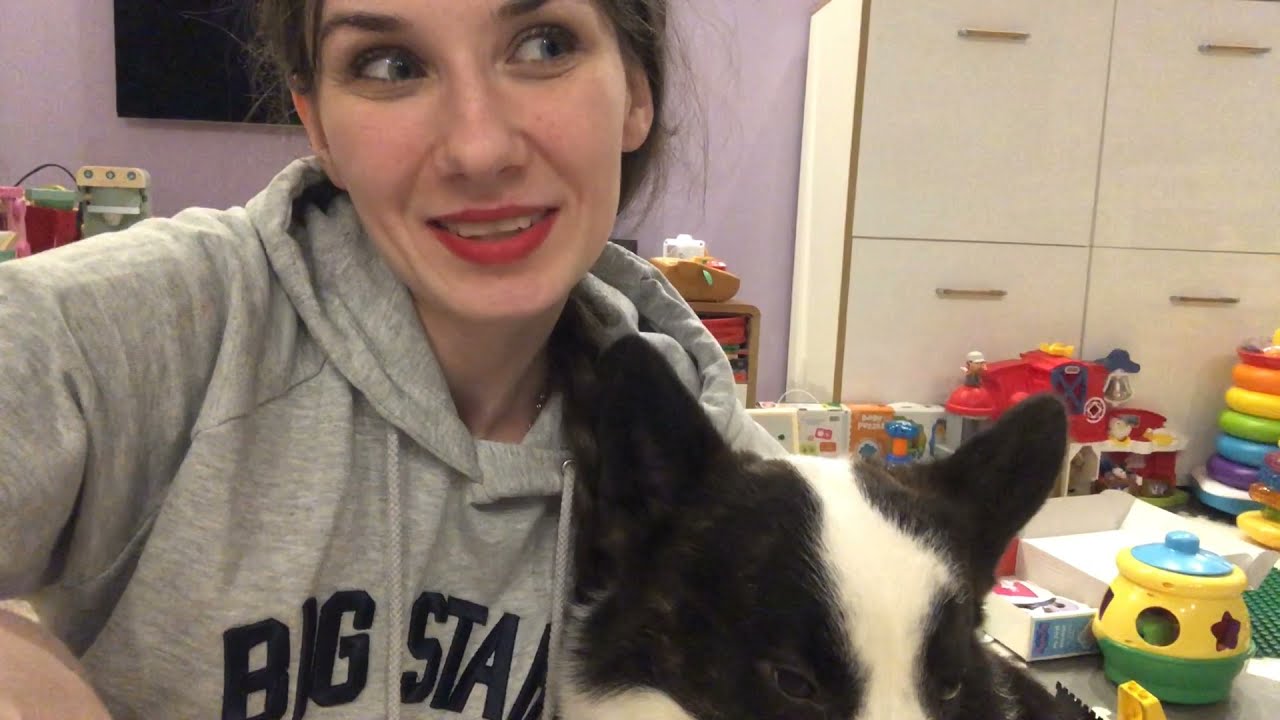 VLOGMAS #14 |Zagadki dla psa 🐶