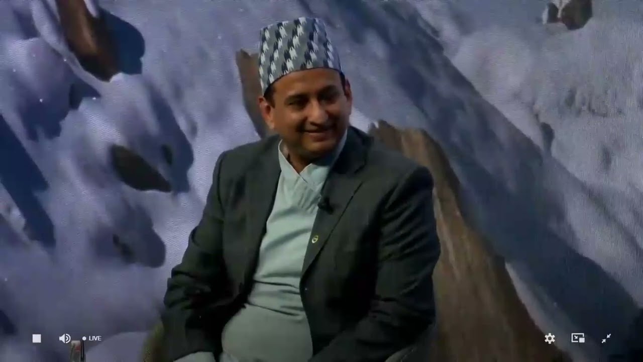 Alpine Economies at Davos Main Panel