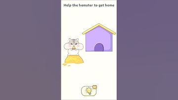 Hamster home 🏡#hamster #home #dop2 #gameplay #short #level 784