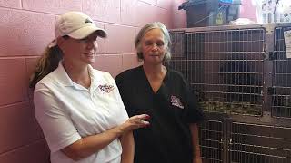 One of a Kind Pets hosting adoption event