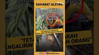 Suami istri tetangga serakah, seenaknya rusakin cor-coran rumah orang untuk aliran air mereka