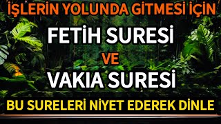 : Fetih Suresi Ve Vakia Suresi - Islerin Yolunda Gitmesi Icin Dinle 