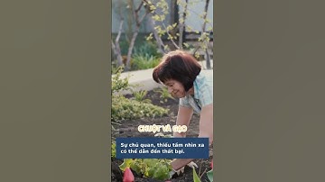 Bài học cuộc sống: Chuột sa hũ gạo và cái giá của sự lười biếng