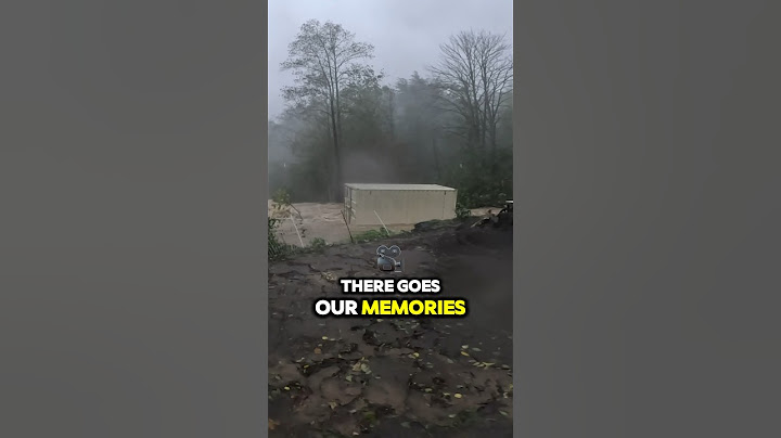 Hurricane Helene took our memories