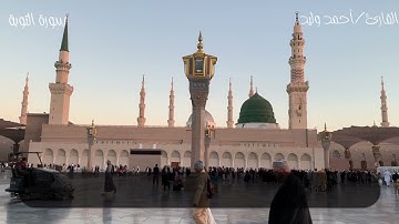 حَرِيصٌ عَلَيْكُم بِالْمُؤْمِنِينَ رَءُوفٌ رَّحِيمٌ - خواتيم سورة التوبة بصوت القارئ أحمد وليد