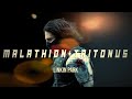 Malathion + Tritonus - LINKIN PARK  ( LPU XIV ) | Audio