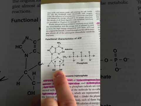 Vídeo: O que é um quizlet de química?