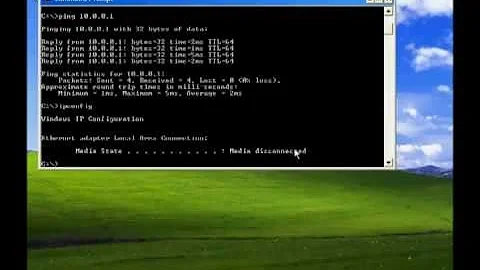 How-to Ping IP Address and Check DNS Settings - 天天要闻