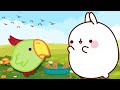 Molang | The Baby Parrot 🦜 | Molang And Piu Piu Disguise As Parrot | Funny Cartoons For Kids