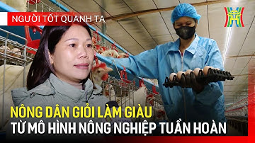 Nông nghiệp tuần hoàn: Bí quyết thành công | Người tốt quanh ta
