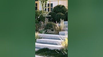 Add realistic detail with nature #lumion #landscape #landscapedesign #shorts #architecture #render