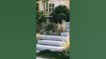 Add realistic detail with nature #lumion #landscape #landscapedesign #shorts #architecture #render