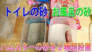 ハムスターの砂を２種類設置してみました