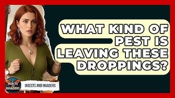What Kind Of Pest Is Leaving These Droppings? - Insects and Invaders
