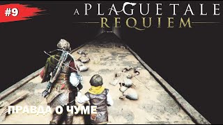 ПРАВДА О ЧУМЕ #9 A Plague Tale REQUIEM (Прохождение без комментариев)