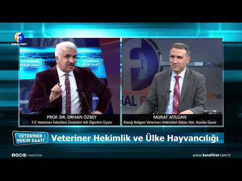Veteriner Hekim Saati
