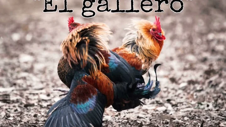 El Gallero - Leonardo Rodrguez