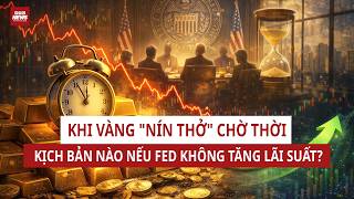 VTC NEWS