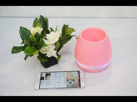 ฮ่วยคือคิดได้#กระถางต้นไม้ร้องเพลงได้-smart pot