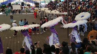 Carnaval Tenancingo 2022 Sección 4ta