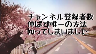 チャンネル登録数を伸ばす！唯一の方法を見つけたので教えちゃいます！ホントか？笑笑【まさチャンネル】