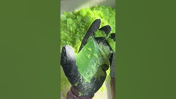 Most Satisfying Soap Cutting ASMR 🧼 | Relaxing Sounds | No Talking #asmr #soapcutting #asmrsounds