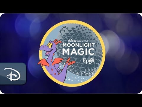 moonlight magic disney pin animal kingdom moonlight magic disney pin animal kingdom