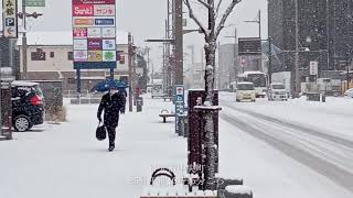 「最強寒波」栃木県内各地で雪
