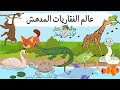 درس تصنيف الفقاريات منهج كامبردج علوم الصف السابع الفصل الدراسي الثاني  مع المختار لا تحتار نجومي