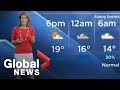 Spider on weather camera scares Global News meteorologist on-air