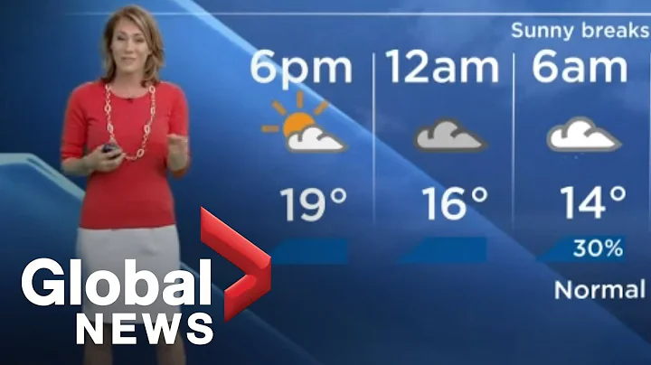Spider on weather camera scares Global News meteor...