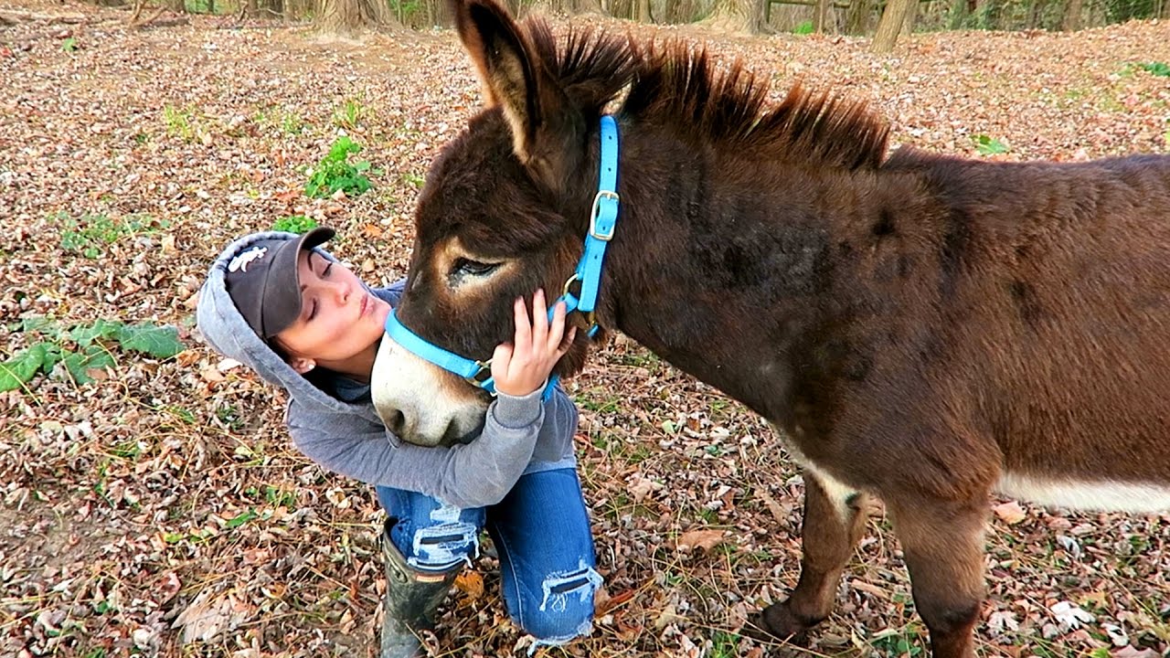 She Got A Donkey Hot movies She Got A Donkey