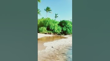 ‏سورة عنكبوت