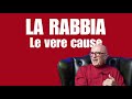 La rabbia  le vere cause  psichiatra