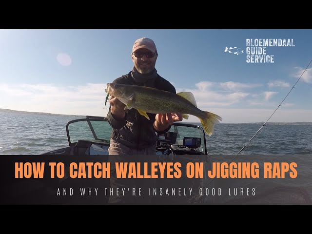 How To Catch Walleyes with Jigging Raps - And Why & They're Insanely Good  Lures 