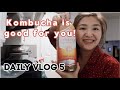 Simple Daily VLOG 5 | Sam&#39;s club and Target run, kombucha is good for your health!