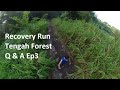 Recovery run  tengah forest  q  a vlog ep3