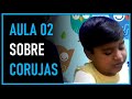 Aula sobre Corujas com David Luiz - Parte 02 (FINAL)
