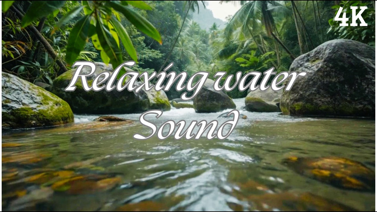 Relaxing Jungle Stream Ambience 🌊 Clear Water + Mossy Rocks (No Music)