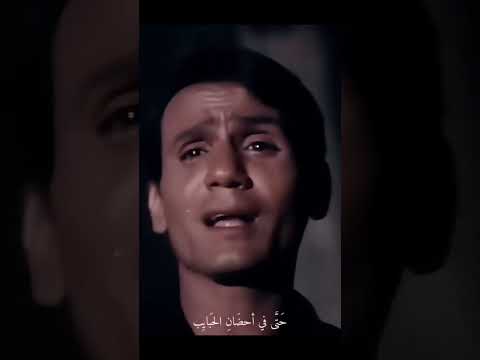 ان يمتص قلبك كي يجود به لثانية هي تلك اامراره