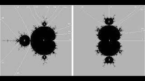 The André Oort Conjecture
