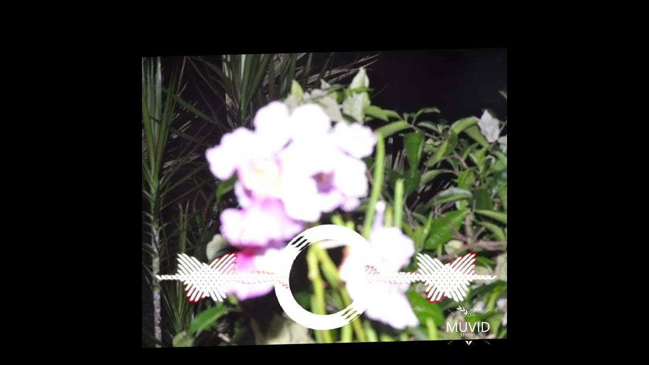 Downtown ft Sebatien Cartel & Vanom (Ni-Van 678🇻🇺)