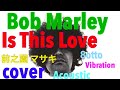 Is This Love,  Bob Marley   Cover