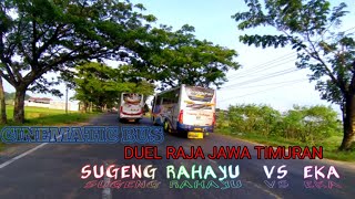 cinematic bus balapan | bus sugeng rahayu mengila