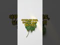 오늘은 아무것도 안 해도 괜찮아요