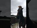 Follow for more #equestrain #foryou #friends #cat #ytshort #yt #reels