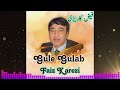 Faiz Karezi Song Gule Gulab فیض کاریزی محلی Faiz Karezi Song Gule Gulab فیض کاریزی محلی