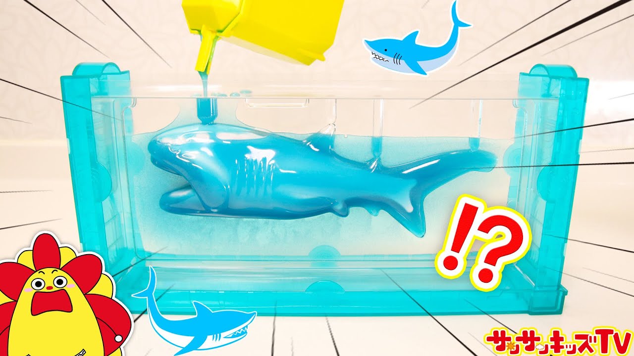 巨大サメを食べる！？シャークのグミを手作り！深海魚研究所で不思議なお料理おままごと♪子供向け知育教育★サンサンキッズTV★