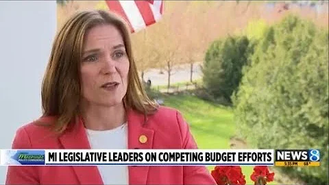 Where does the Michigan state budget stand?